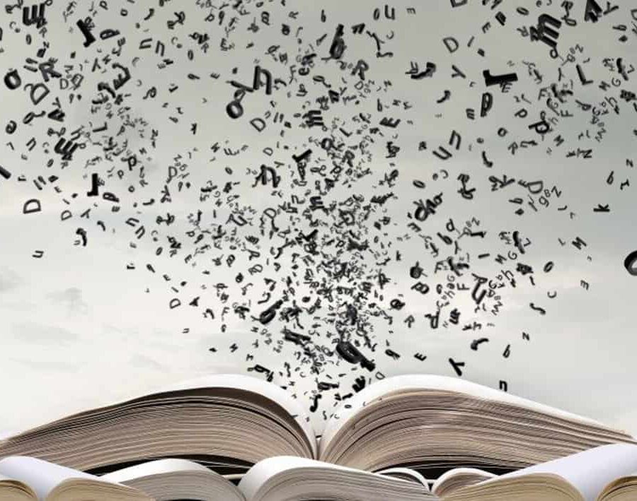 diccionario del vino tinto federico